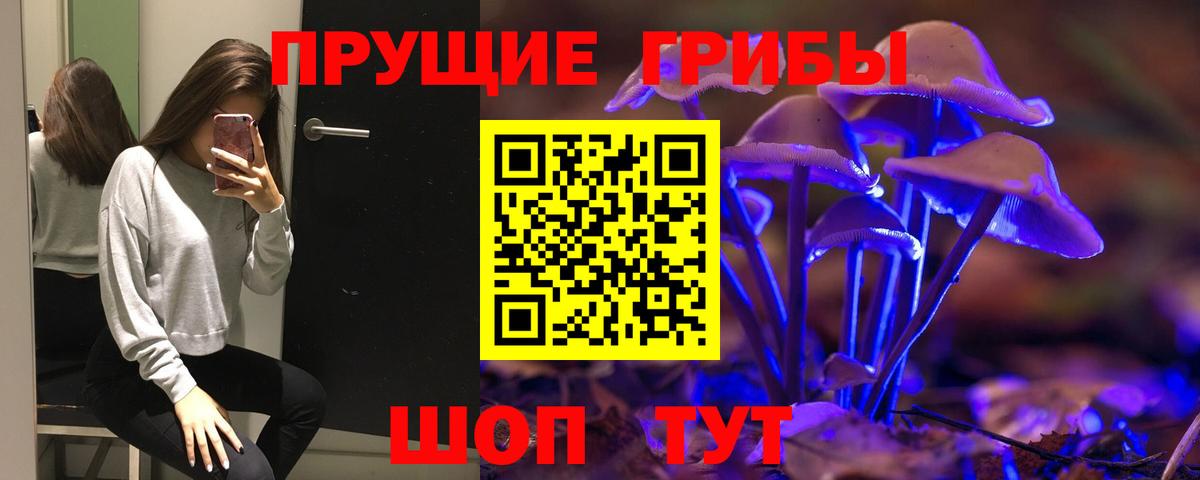 Псилоцибиновые грибы ЛСД Черняховск